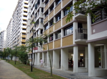 Blk 484D Choa Chu Kang Avenue 5 (Choa Chu Kang), HDB 5 Rooms #65562